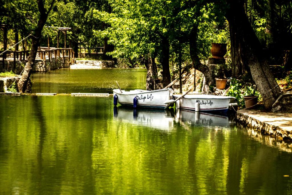 Otel yakınında doğal manzara