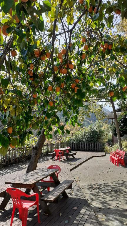 Un jardín fuera de Dasanbang Pension