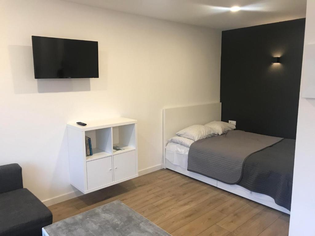 1 dormitorio pequeño con 1 cama y TV en la pared en Biliūno studio, en Anykščiai