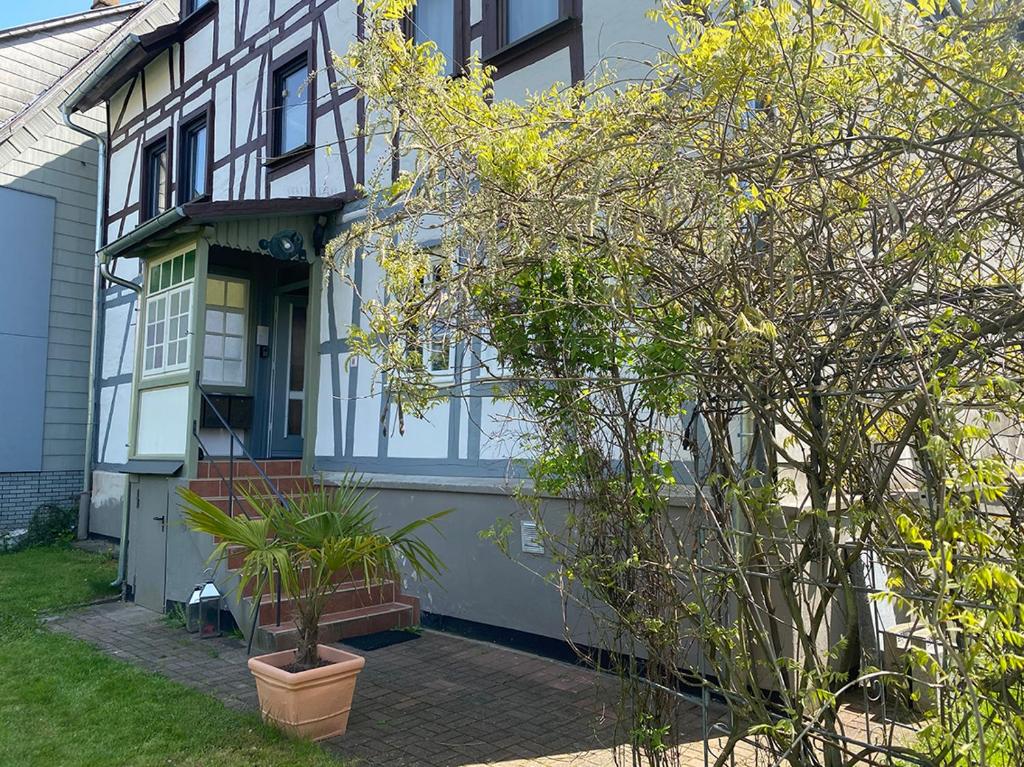 une maison avec une plante en pot devant elle dans l'établissement Apartment 003 Kassel Harleshausen, à Cassel