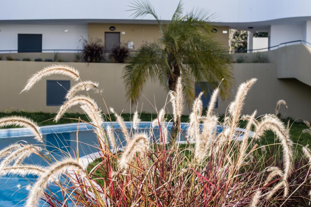 Swimming pool sa o malapit sa Family apartments Albur Village II