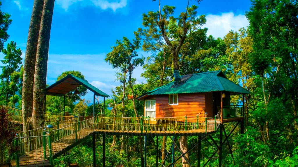 una casa sull'albero in mezzo alla foresta di Sitaram Mountain Retreat a Munnar