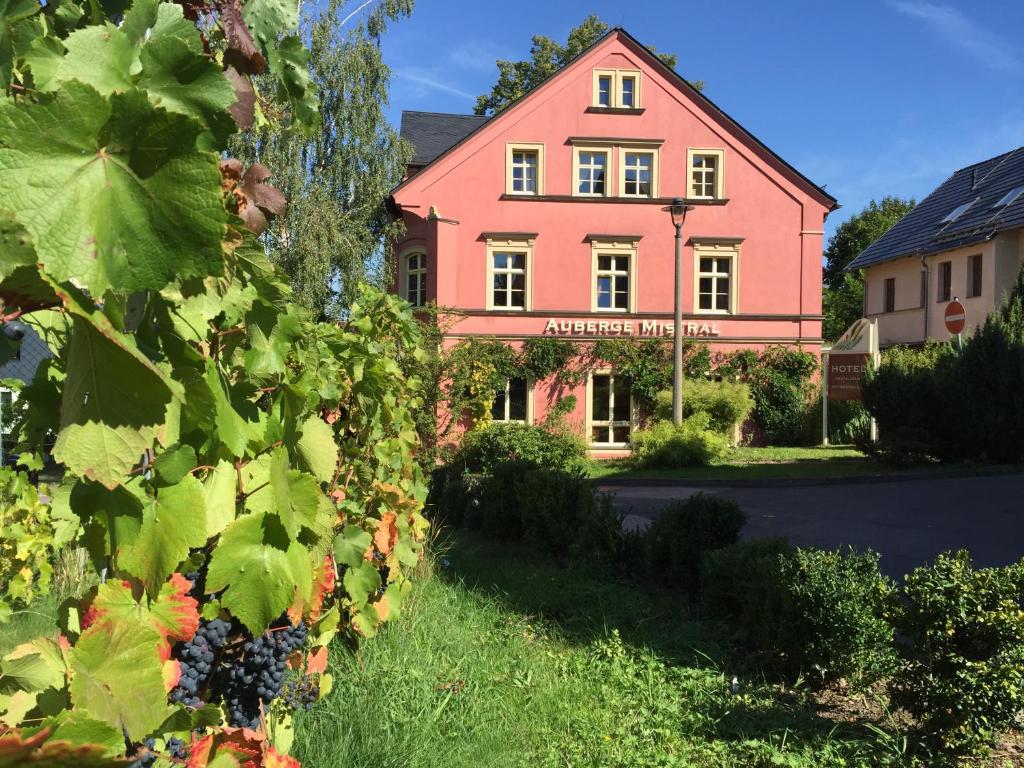 Градина пред Wein-Hotel Auberge Mistral