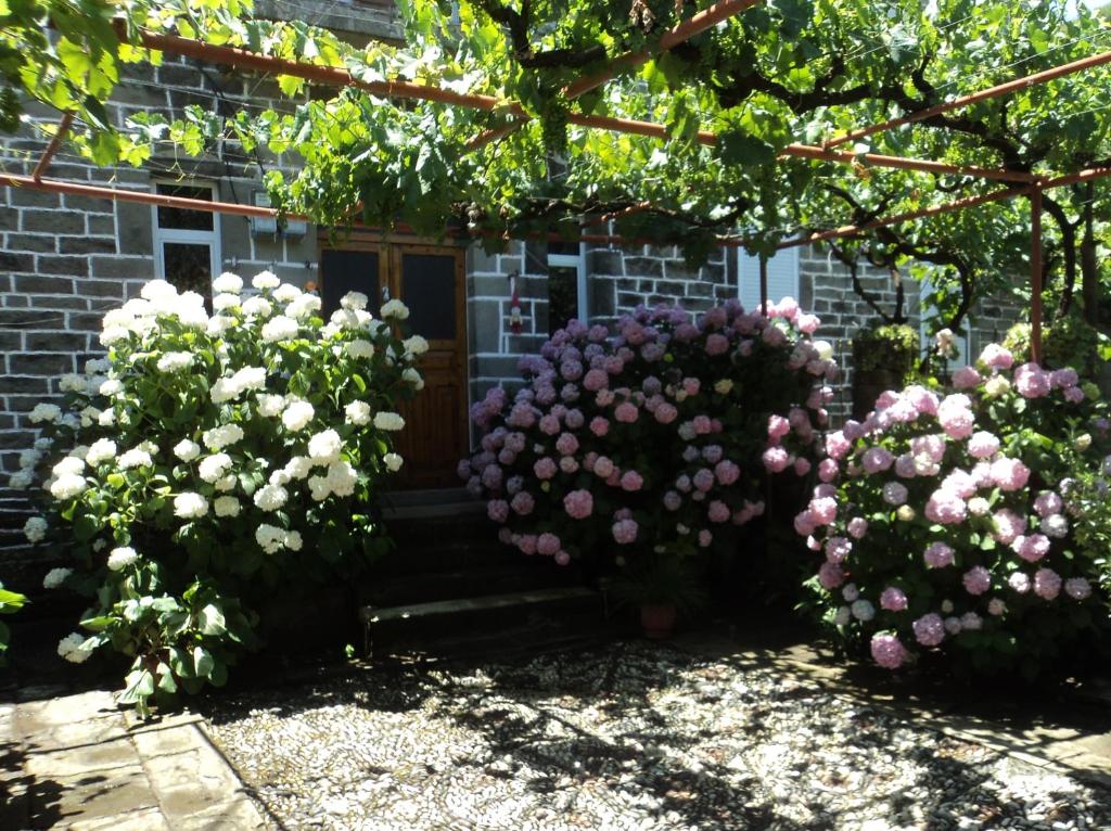 un groupe de fleurs devant une maison dans l'établissement The Mosaic House - Shtepia me Mozaik, à Përmet