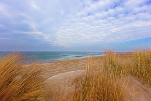 een uitzicht op de oceaan vanaf een strand met hoog gras bij Küstenliebe Graal-Müritz in Gelbensande