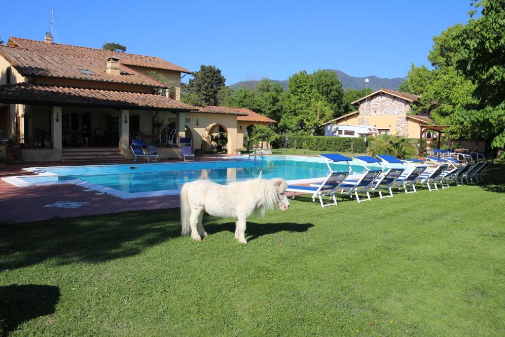 A piscina localizada em Podere San Paolo ou nos arredores