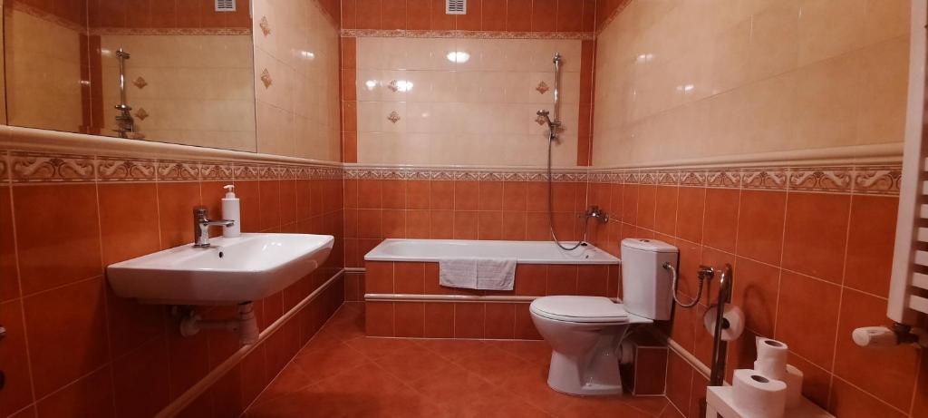 Kúpeľňa v ubytovaní Apartamenty Sienkiewicza10