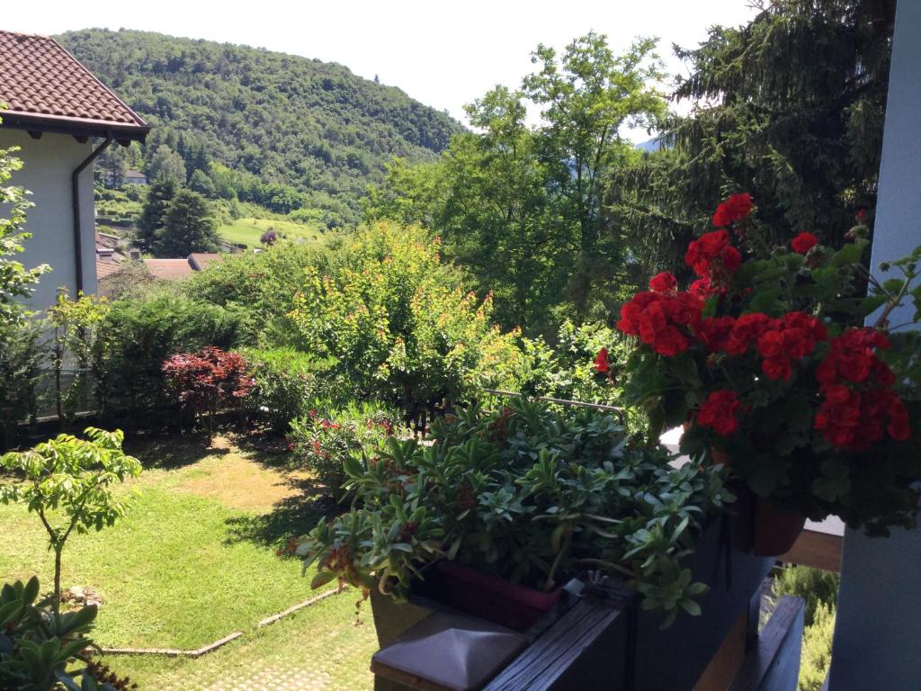 Un jardín fuera de BnB Trento