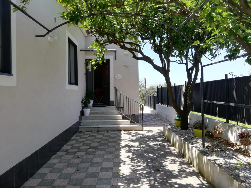 a stairway leading to a white house with a tree at B&B Guest Armonie in Torre del Greco