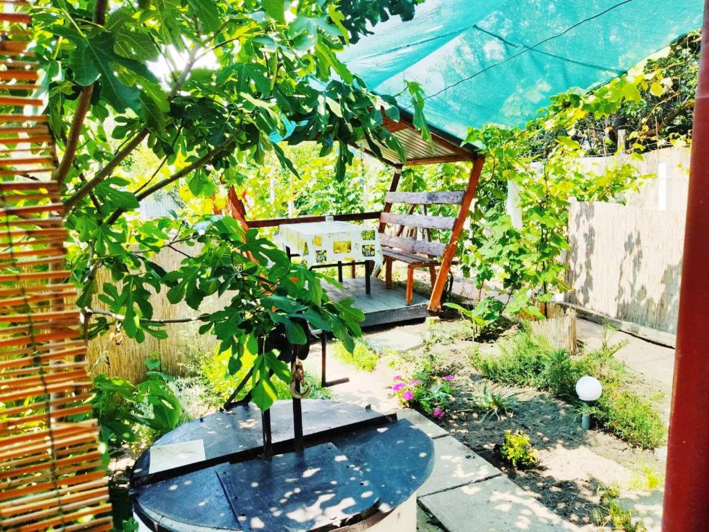 a garden with a chair and a tree at Гостевой дом золотые пески in Zatoka