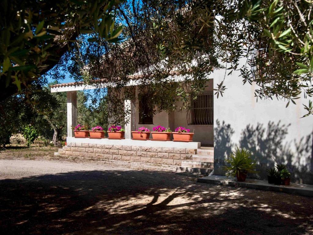 eine Reihe von Blumen in Töpfen auf einem Gebäude in der Unterkunft Villa Hermosa in Alghero