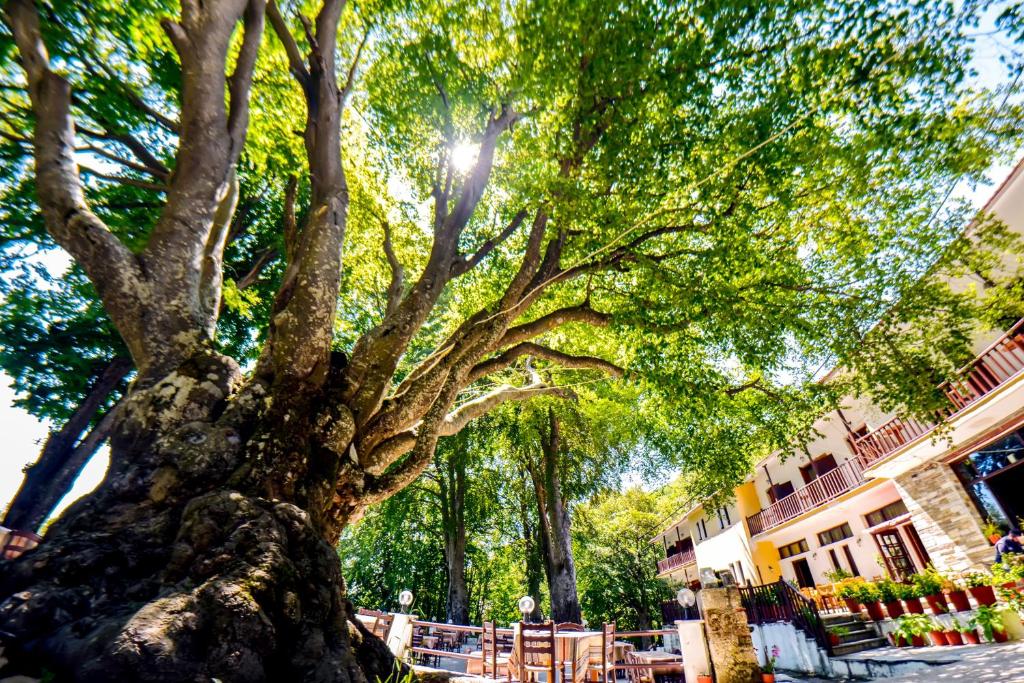 Galerija fotografija objekta Hotel Hani Zisi u gradu 'Chania'