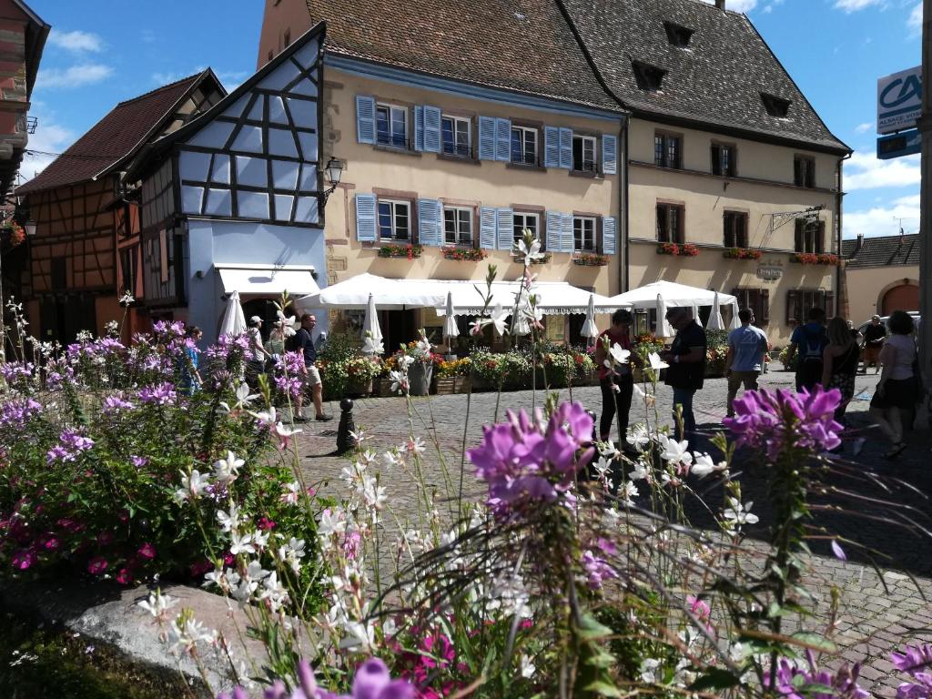 plac miejski z kwiatami przed budynkiem w obiekcie Gîte au château fleuri w mieście Eguisheim