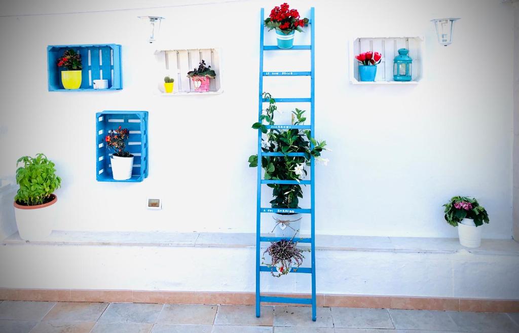 een blauwe ladder tegen een witte muur met potplanten bij Relax House in Bari