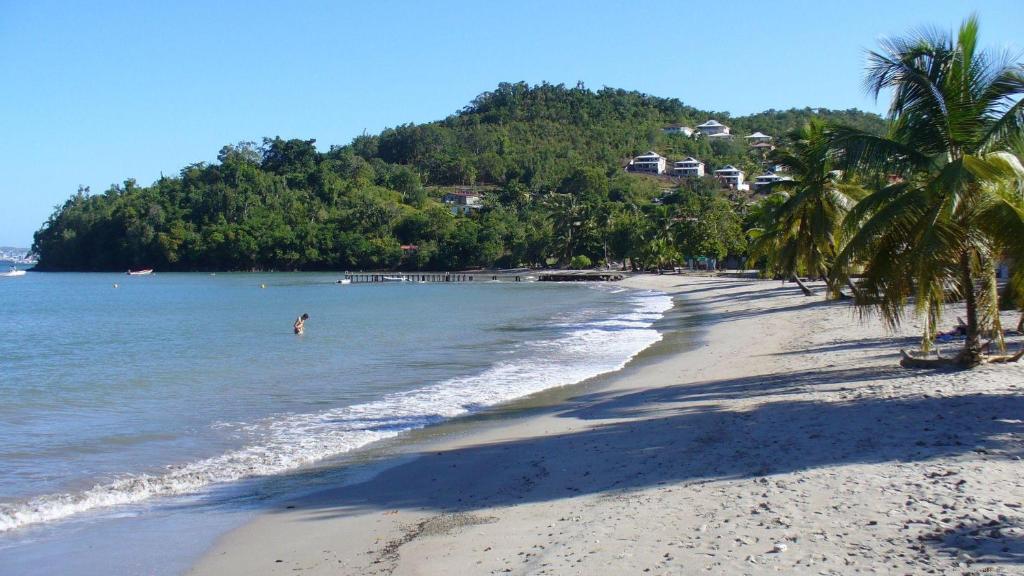 een strand met palmbomen en een persoon in het water bij MANIKOU in Le Vauclin