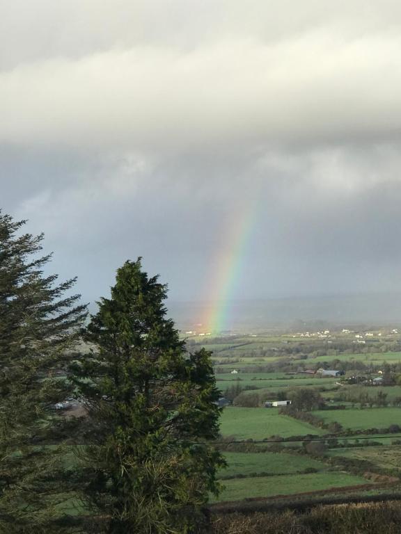 een regenboog in de lucht boven een veld met een boom bij The Collins,Our View from The Top in Listowel