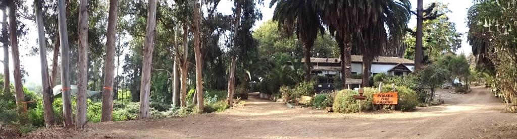 Κήπος έξω από το Posada del Parque