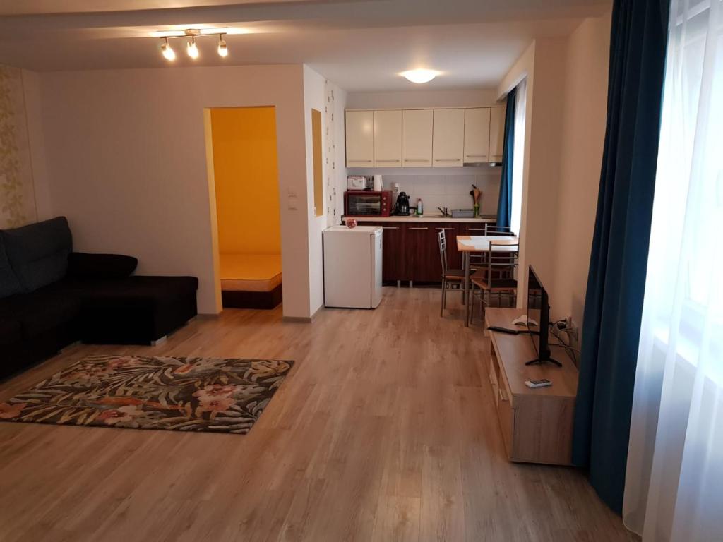 Kuchyň nebo kuchyňský kout v ubytování Apartament 1 Central