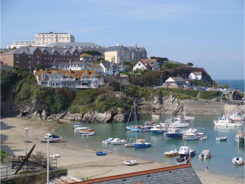 un gruppo di barche ormeggiate in un porto con case di Harbour Hotel a Newquay