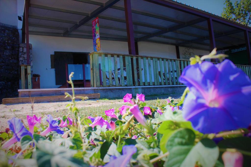 un groupe de fleurs violettes devant un bâtiment dans l'établissement Casa do Castelo Ourém, à Ourém