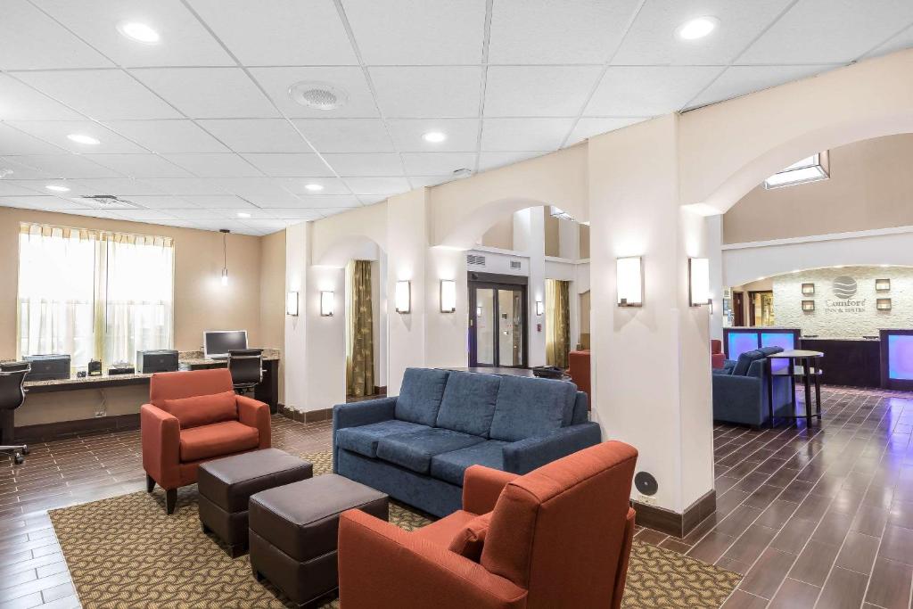 Comfort Inn & Suites Allen Park - Dearborn tesisinde bir oturma alanı