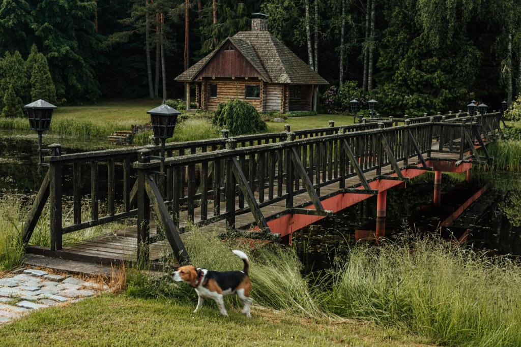 Vrt ispred objekta Log Cabin