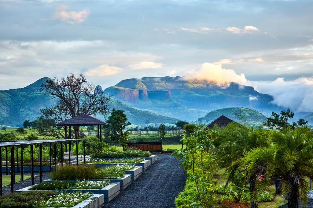 ナーシクにあるViveda Wellness Resortの山の景色を望む庭園