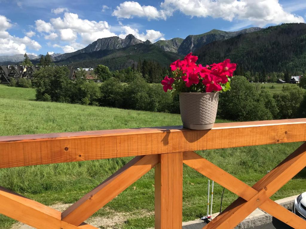 un pot de fleurs sur une clôture avec des montagnes en arrière-plan dans l'établissement Willa ANTONÓWKA, à Kościelisko