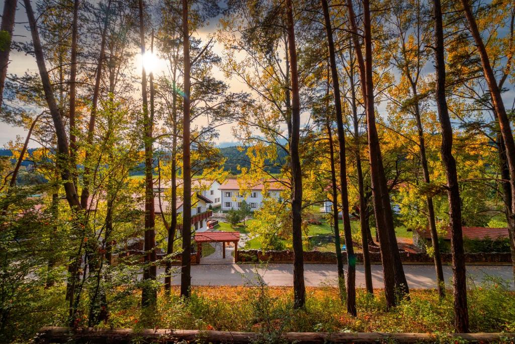 vista di una casa attraverso gli alberi di Wolkendorf Bio Hotel & Spa a Braşov