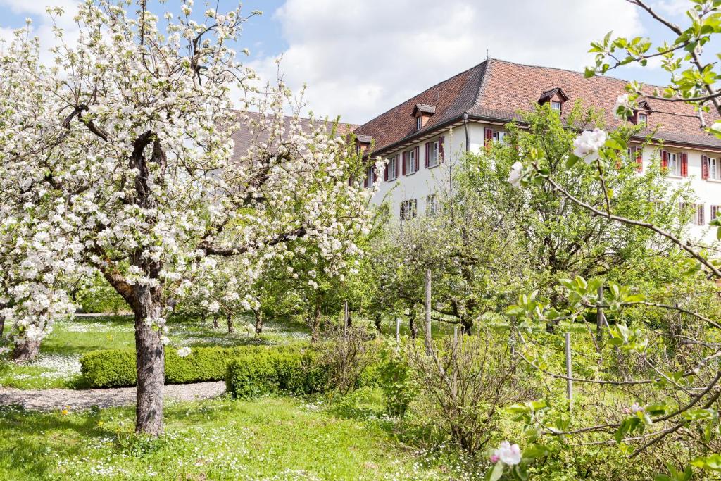 Kloster Dornach / Basel في دورناخ: شجرة مزهرة أمام مبنى