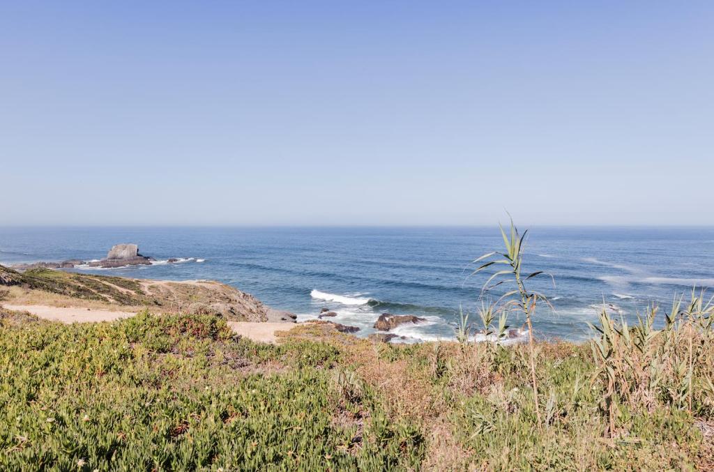 eine Gruppe von Tieren, die an einem Strand in der Nähe des Ozeans stehen in der Unterkunft Zambujeira do Mar 4-Bed House Perfect for Families & Friends in Zambujeira do Mar