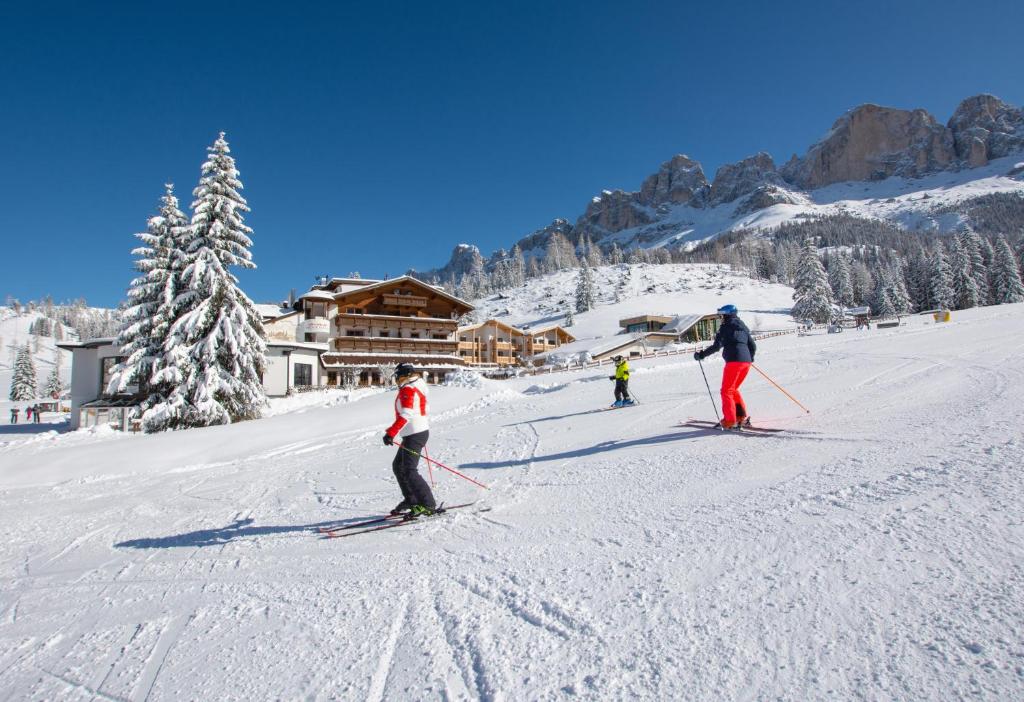 Moseralm Dolomiti Spa Resort om vinteren