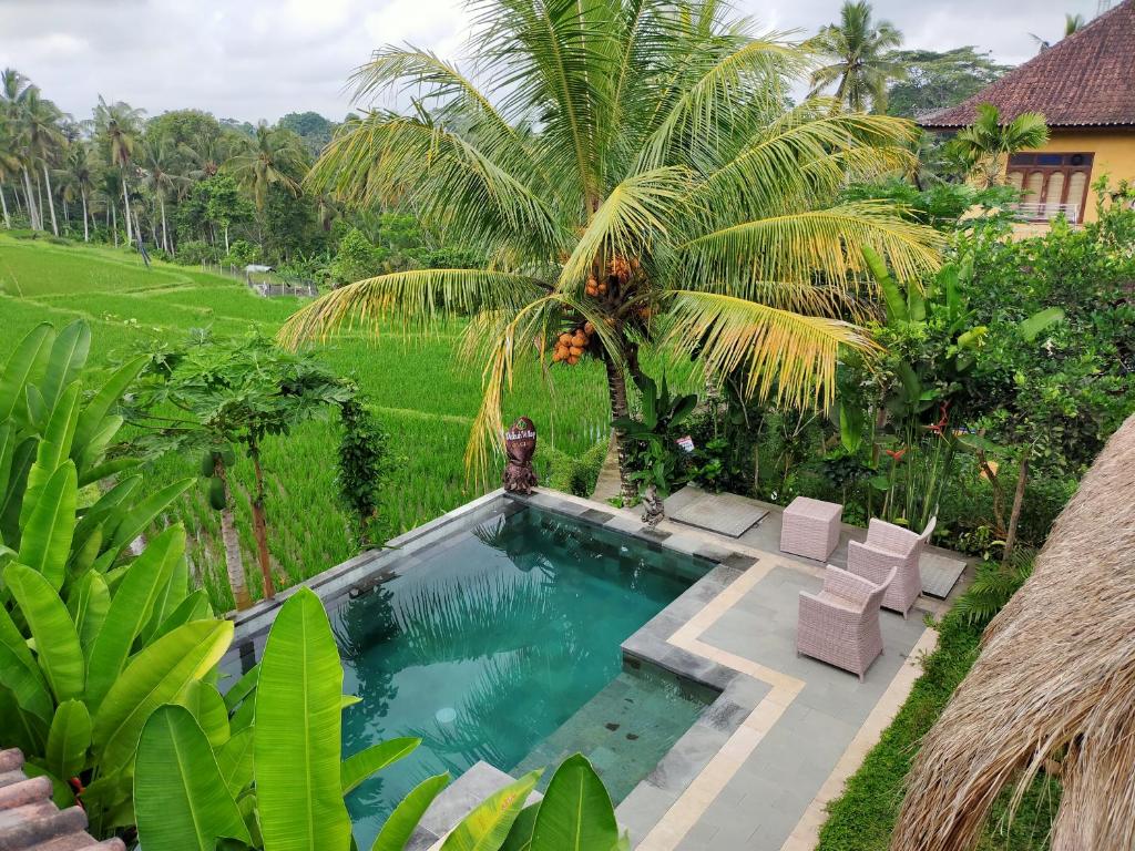 una piscina en un jardín con palmeras en Dukuh Village Villas & Art, en Tegalalang