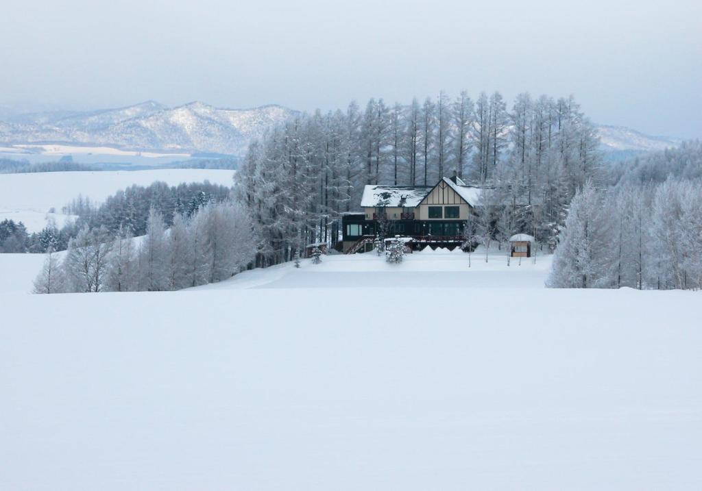 Adagio Hokkaido взимку