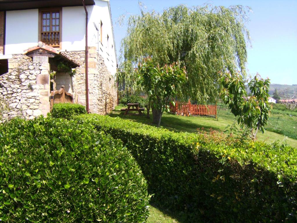 a hedge in front of a house with a tree at Apartamentos Fernando in Santillana del Mar