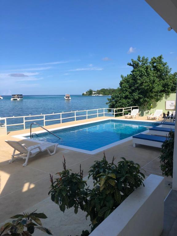 basen z widokiem na wodę w obiekcie Ocean Palms w mieście Ocho Rios