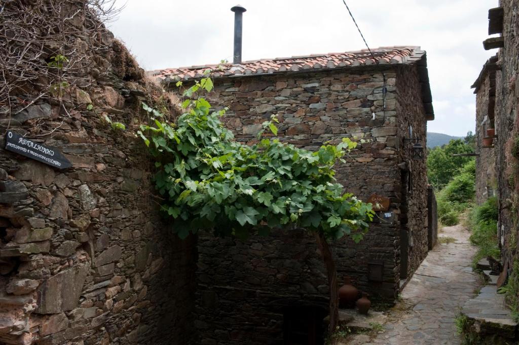 Fotografie z fotogalerie ubytování Talasnal Casa da Urze AL v destinaci Lousã