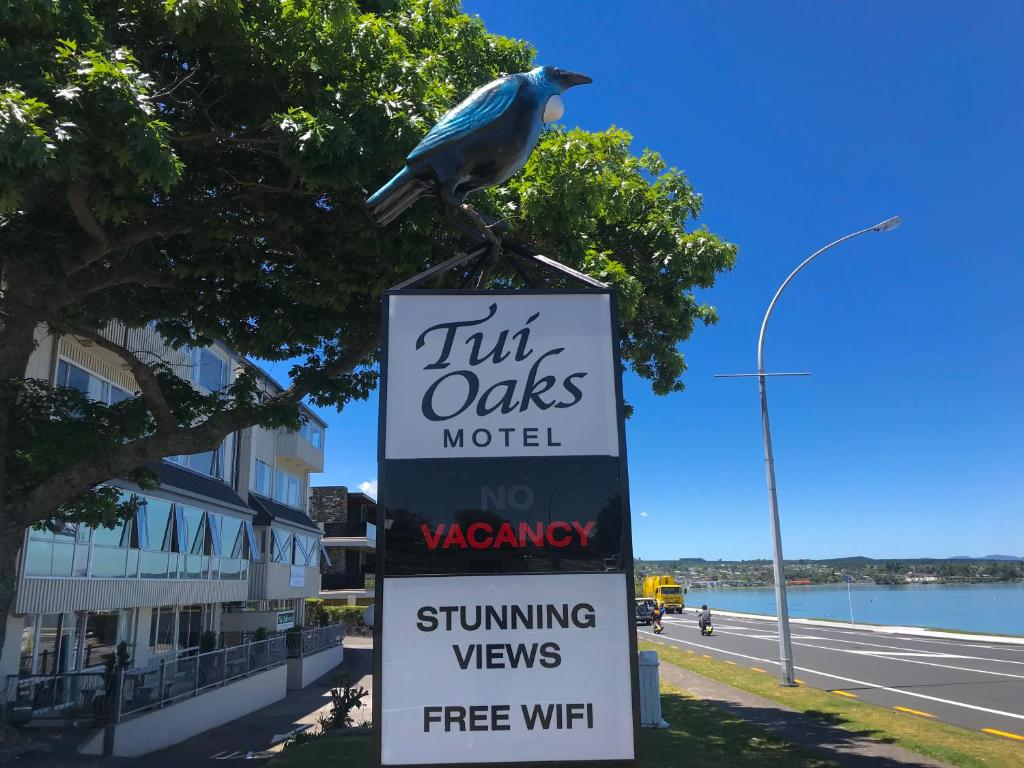 a bird sitting on top of a sign at Tui Oaks Motel in Taupo