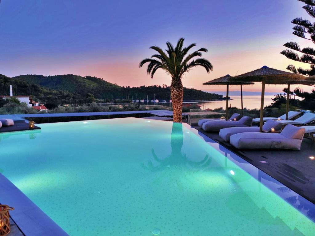 basen z leżakami i palmą w obiekcie Panormos Beach Hotel Skopelos w mieście Panormos