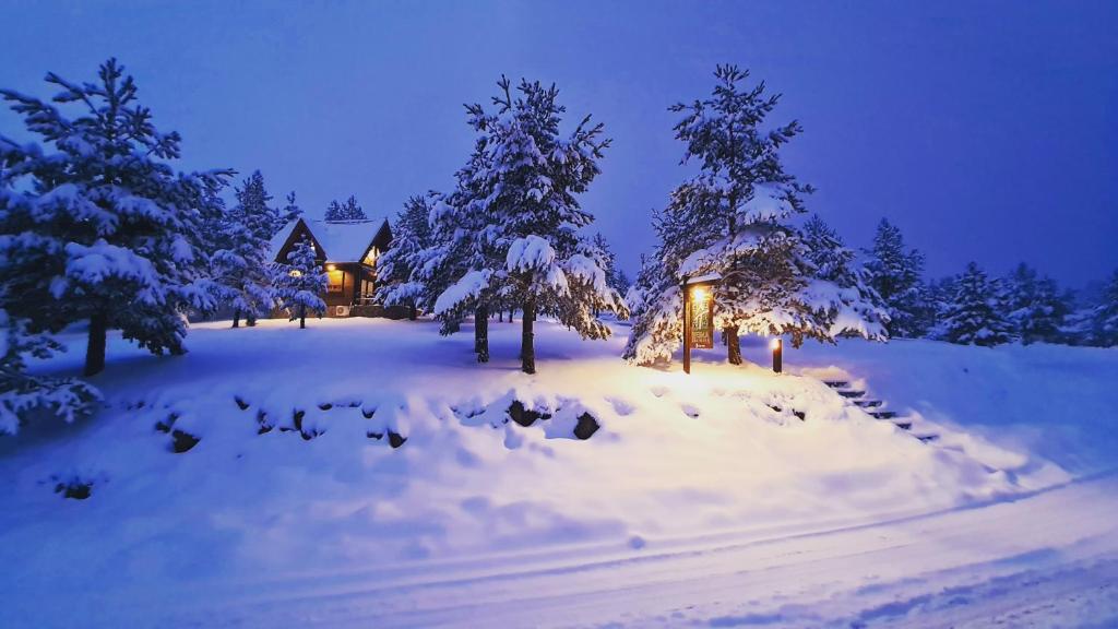 Previja Zlatibor Chalet under vintern