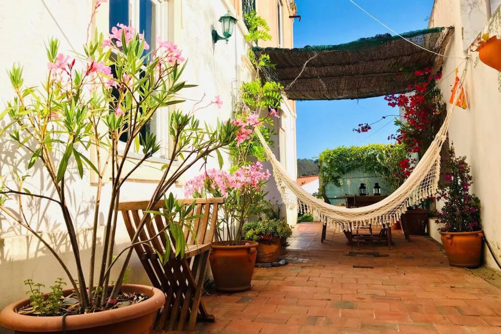 Un jardín fuera de La Casa Flores, maison traditionnelle portugaise