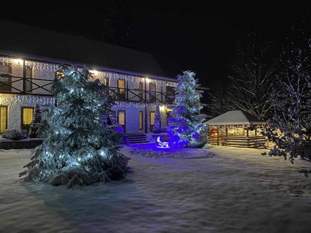 Zorianyy Guest House kapag winter