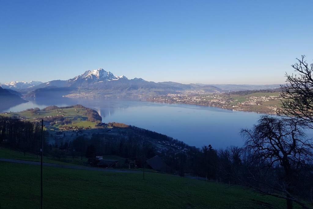 - une vue sur un lac avec une montagne en arrière-plan dans l'établissement Bauernhaus mit Charme, Traumaussicht und Sauna, à Weggis