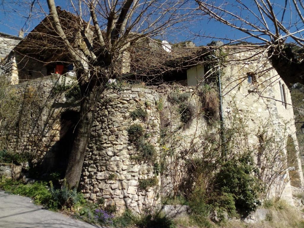 una pared de piedra con un árbol delante de una casa en Gite des Gorges de l'Ardèche, en Chame