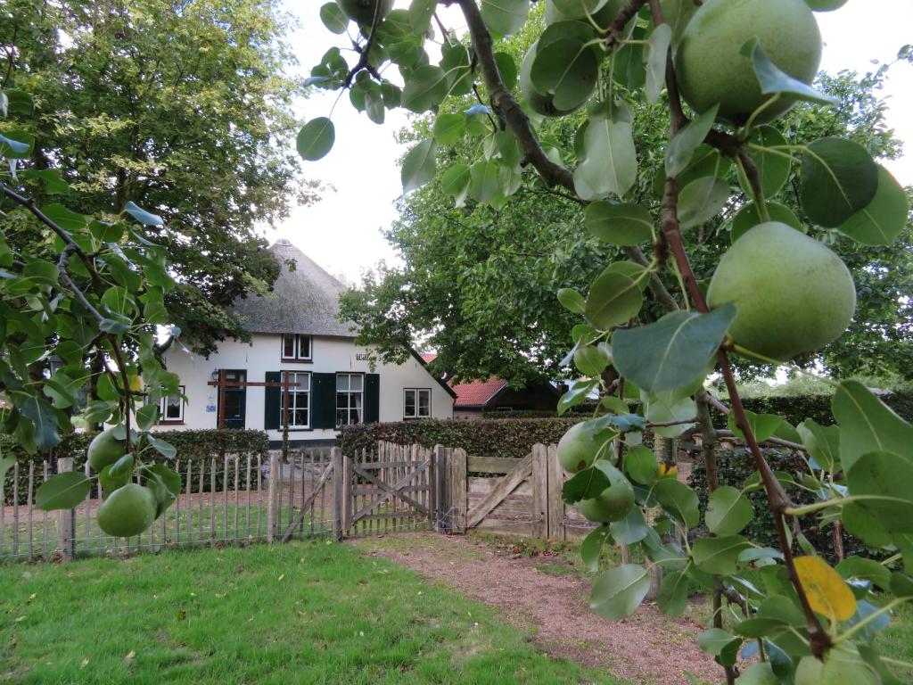 O grădină în afara B&B De Willemshoeve