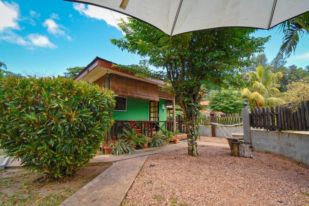 une maison verte avec un parasol devant elle dans l'établissement Fern Lodge Self Catering, à La Digue