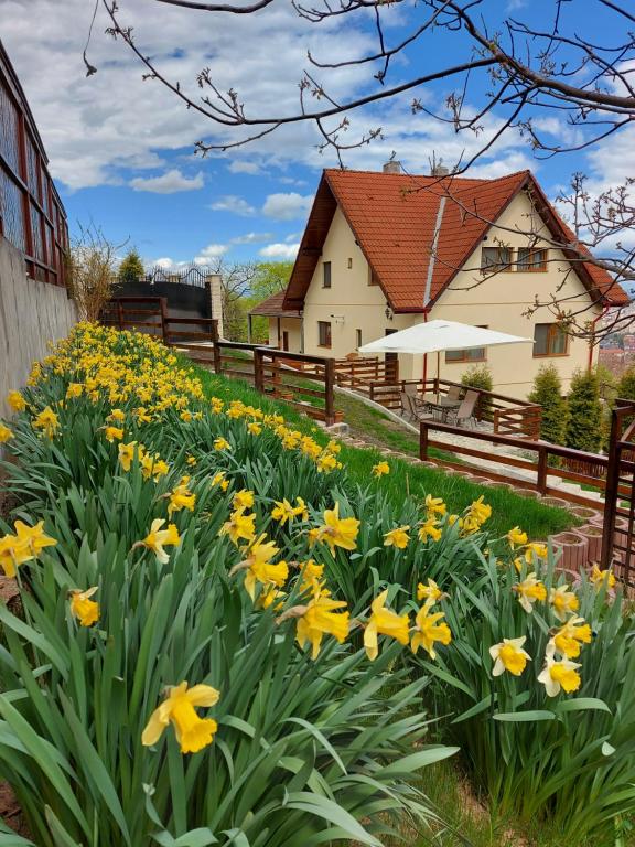 Um jardim em Apartament Matei