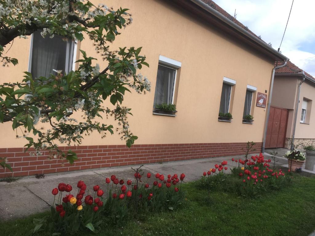 une maison avec des tulipes rouges devant elle dans l'établissement Szundivendégház, à Mórahalom