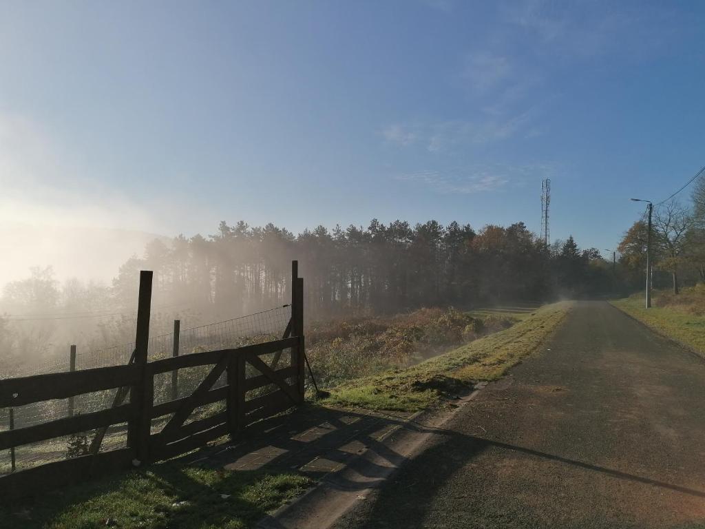 Naturlandskabet i nærheden af feriehuset