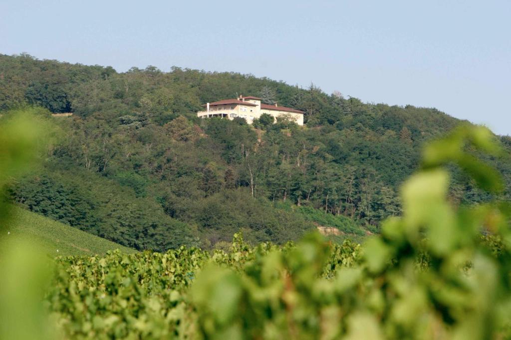 Auberge Les Hauts De Chenas في Chénas: منزل على جانب تلة